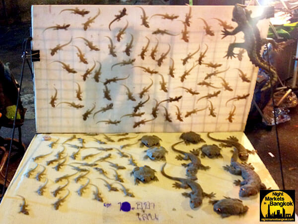 Anyone want to buy some Lizards at Khlong Thom Market